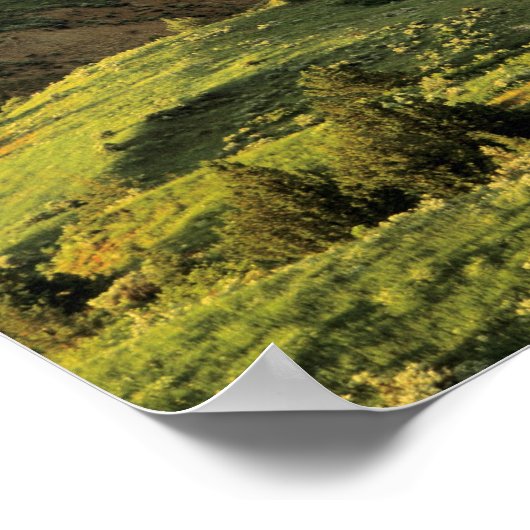 セオ色彩の鮮やかドアルーズベルトの嵐の後の峡谷 ポスター (角)