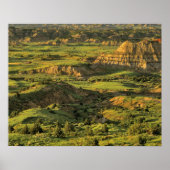 セオ色彩の鮮やかドアルーズベルトの嵐の後の峡谷 ポスター (正面)