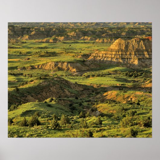 セオ色彩の鮮やかドアルーズベルトの嵐の後の峡谷 ポスター (正面)