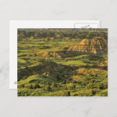 セオ色彩の鮮やかドアルーズベルトの嵐の後の峡谷 ポストカード (正面/裏面)