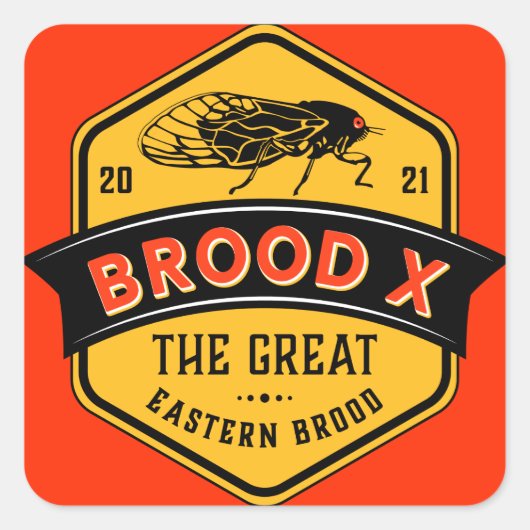 セカダスブロッドX東素晴らしブロッド スクエアシール (正面)