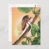 セカダ昆虫イラストレーションアート ポストカード (正面/裏面)