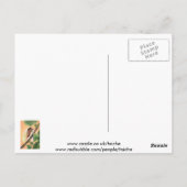 セカダ昆虫イラストレーションアート ポストカード (裏面)