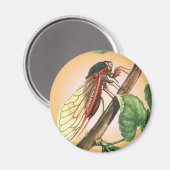 セカダ昆虫イラストレーションアート マグネット (正面/裏面)