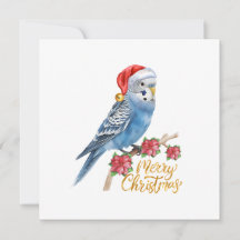 セキセイインコのクリスマスカード