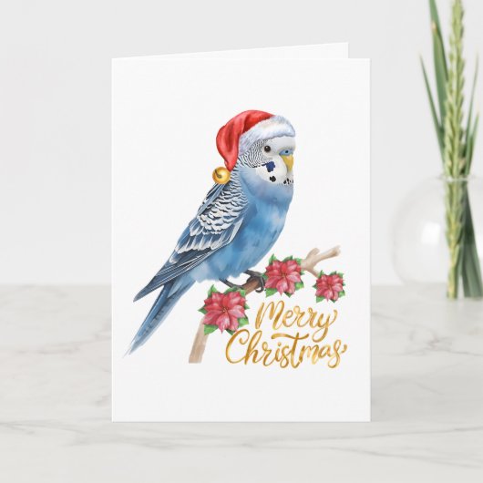 セキセイインコのクリスマスカード シーズンカード (正面)