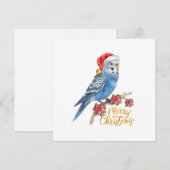 セキセイインコのクリスマスカード シーズンカード (正面/裏面)
