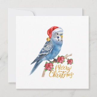 セキセイインコのクリスマスカード シーズンカード