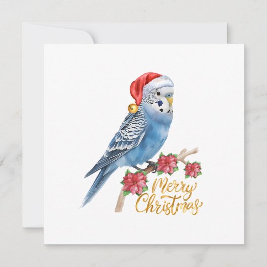 セキセイインコのクリスマスカード シーズンカード (正面)
