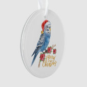 セキセイインコのクリスマス オーナメント (正面)