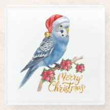 セキセイインコのクリスマス