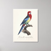 セキセイインコまたはPlatycercus eximiusパラキート キャンバスプリント (正面)