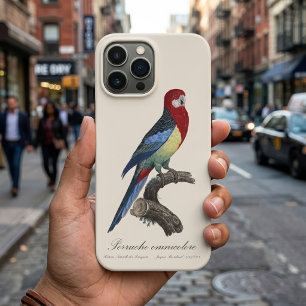 セキセイインコまたはPlatycercus eximiusパラキート iPhone 13 Pro Maxケース