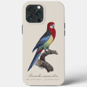セキセイインコまたはPlatycercus eximiusパラキート Case-Mate iPhoneケース (裏面)