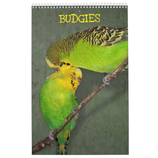 セキセイインコ カレンダー (カバー)