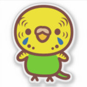 セキセイインコ / ノーマルメス シール (正面)