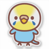 セキセイインコ / パステルレインボー雌 シール (正面)