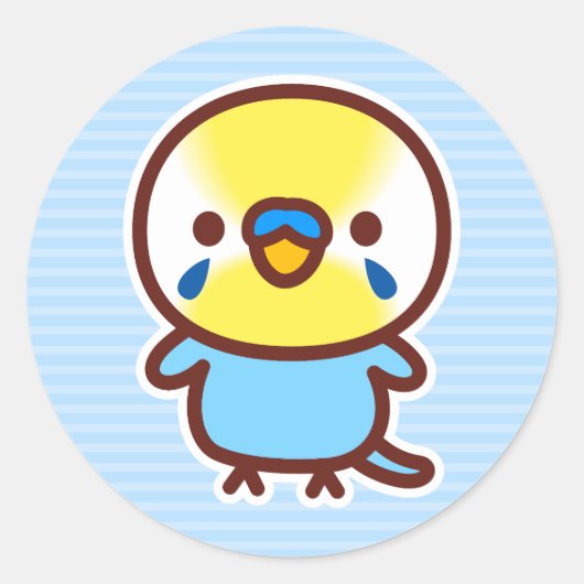 セキセイインコ / パステルレインボー オス ラウンドシール (正面)