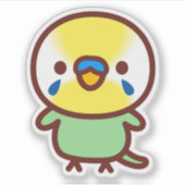セキセイインコ / パステルレインボー グリーン オス シール (正面)