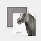 セキュリティと心地よい マグネット (正面/裏面)