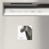 セキュリティと心地よい マグネット (インサイチュ (食洗機))