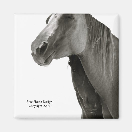 セキュリティと心地よい マグネット (正面)