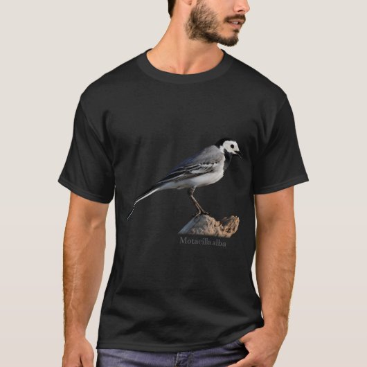 セキレイと呼ばれる小鳥 Tシャツ (正面)