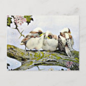 セキレイ, エドワード・ジュリアス・デトモルド ポストカード (正面)