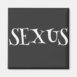 セクサス マグネット