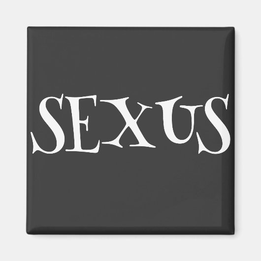 セクサス マグネット (正面)