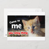 セクシーなこと、俺に来いよ ポストカード (正面/裏面)