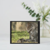 セクシーシルバーバックゴリラ葉書 ポストカード (スタンド正面)