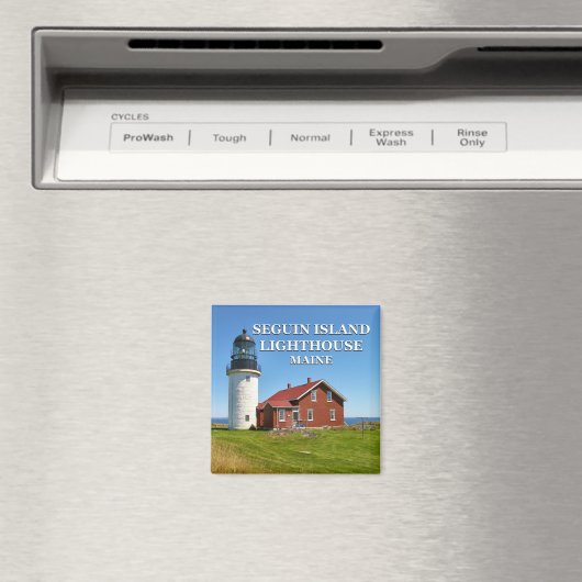 セグインアイランドライトハウスメーンマグネット マグネット (インサイチュ (食洗機))