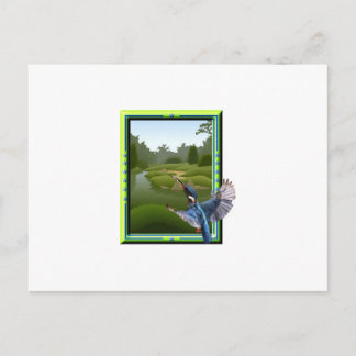 セグロセキレイ ポストカード