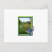 セグロセキレイ ポストカード (正面)