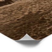 セゲスタ ポスター (角)