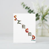 セゲドチリペッパー ポストカード (スタンド正面)