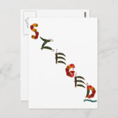 セゲドチリペッパー ポストカード (正面/裏面)