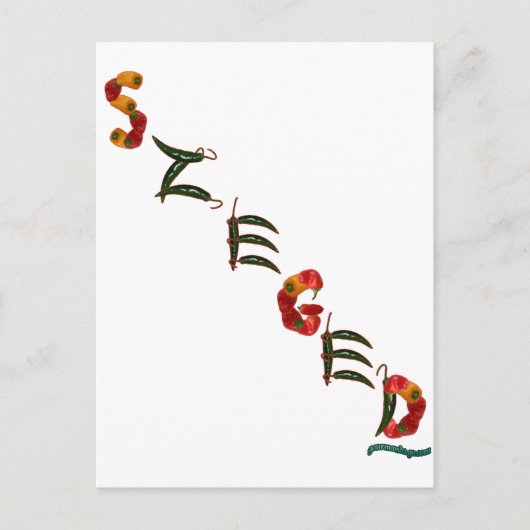 セゲドチリペッパー ポストカード (正面)