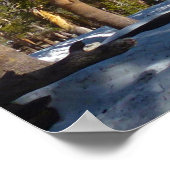 セコイアでミッチェル峰からハイキング ポスター (角)