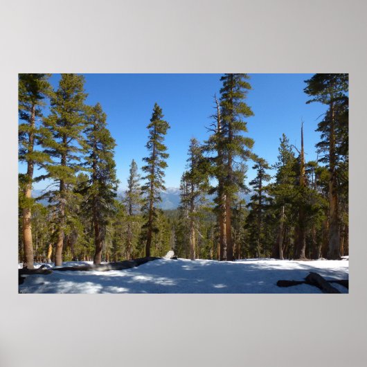 セコイアでミッチェル峰からハイキング ポスター (正面)