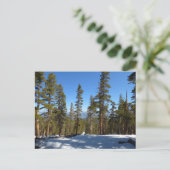 セコイアでミッチェル峰からハイキング ポストカード (スタンド正面)