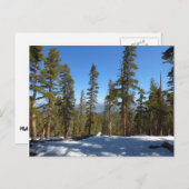 セコイアでミッチェル峰からハイキング ポストカード (正面/裏面)