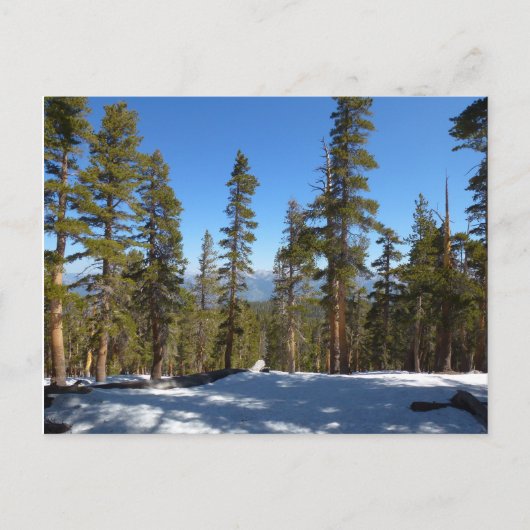 セコイアでミッチェル峰からハイキング ポストカード (正面)