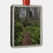 セコイアの木々の横に横たわる道 メタルオーナメント (右)