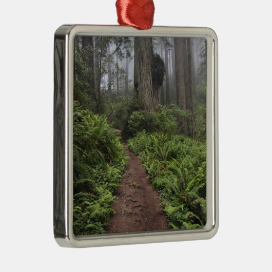 セコイアの木々の横に横たわる道 メタルオーナメント (右)