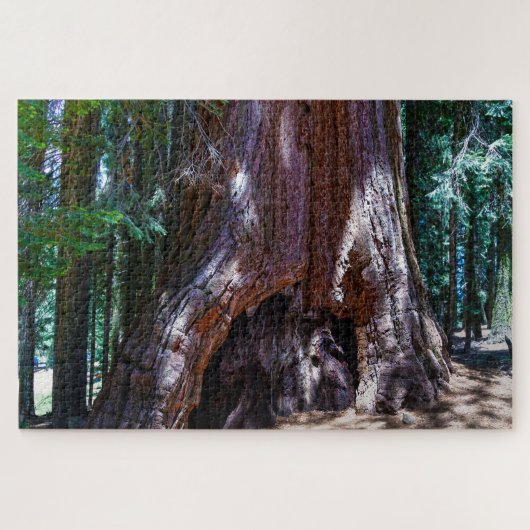セコイアの木 セコイア国立公園 カリフォルニア州。ジグ ジグソーパズル (横)