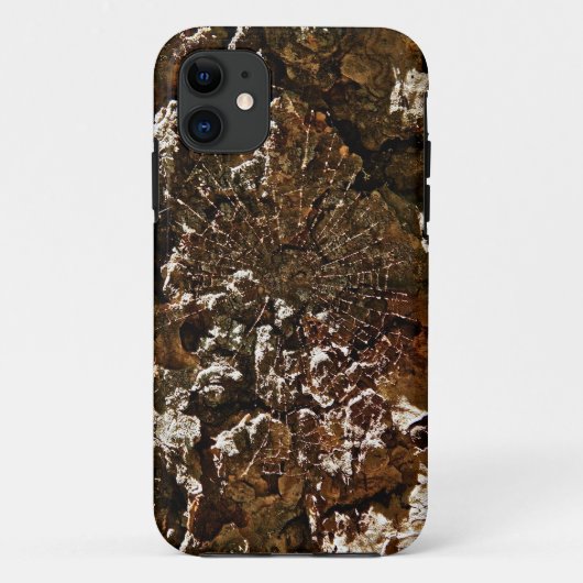 セコイアの樹皮上のクモの巣 Case-Mate iPhoneケース (裏面)