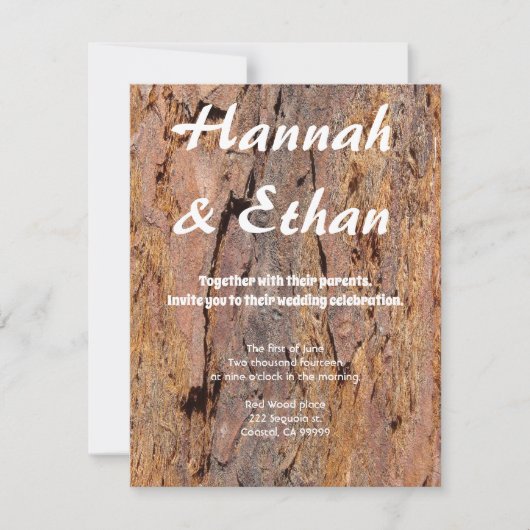 セコイアの樹皮 招待状 (正面)