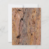 セコイアの樹皮 招待状 (裏面)